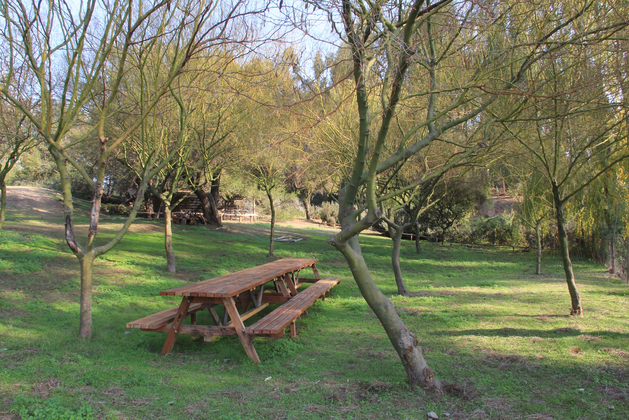 Áreas verdes y senderos en Hacienda Los Aromos, Limache